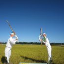 영4리 해수욕장 이미지