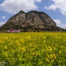 푸른감(푸른感) 이미지