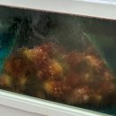 만푸장횟집 이미지