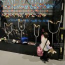 신화병원 앞 | 제주 댕냥별 신화월드 후기｜아이와 함께 즐긴 강아지 구조 체험 테마파크