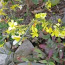 미천중학교 이미지