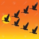 한시로 배우는 한자와 영어 | 디맹칼리지 토요수업 한자인문학 – 추구집을 알면 한시가 보인다 (237~240번)