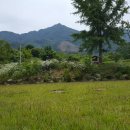 천안밤나무골가족사랑캠핑장 이미지