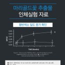 플러스슈퍼 - 천안시 서북구 성환1로 237-8 | 플러스슈퍼