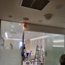 릴리프여성의원 이미지