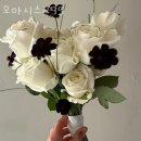 오아시스295 - 마포구 동교로 272-7 | 오아시스295