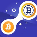 경보 골드 이미지