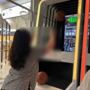 2박 3일 단양여행 후기 ㅣ 단양야경미션투어(고수...단양, 도담삼봉, 설원칡냉면, 밀리내감자탕, 소노...