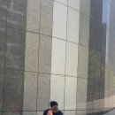타르티 이미지