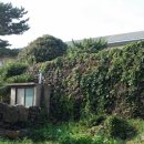 애월초등학교 병설유치원 이미지