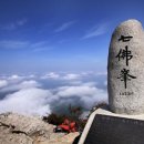 대동사거리 파리바게트 앞 이미지