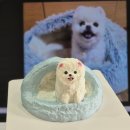 댕댕어썸 이미지