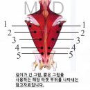 클리어짐 이미지