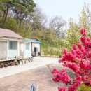 별빛독채펜션 이미지