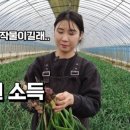 별장농장 이미지