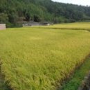 사봉면-12 이미지