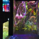 원더파크 이미지