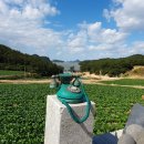 진도펜션 소해정 이미지