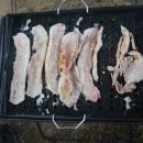 무림동 Daum카페