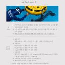 디퍼프리다이브 부산 네이버블로그