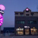 해피 애견 놀이방 이미지