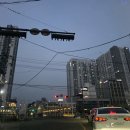 담주할머니 이미지