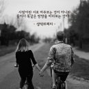 클로이교육