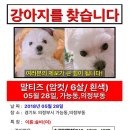 흥선역 Daum카페