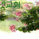 예수님의 명칭 45가지 이미지