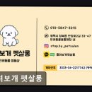 뽀샤시 펫살롱 | 강아지, 고양이, 애견미용, 추천!) 들려보개 펫살롱 평택 들려보개 펫살롱, 맞춤 케어로 반려동물 행복