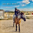 제주 액티비티 추천 목장카페 드르쿰다 승마 카트 체험 후기