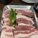 발산껍데기 로고