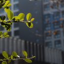 금호동주민자치센터 이미지