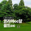 챔피언골프 | 골드CC 챔피언코스 라운딩 후기