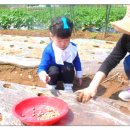 원빈농장 이미지