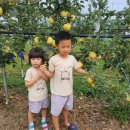 영화초등학교병설유치원 이미지