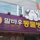 말바우동물병원 이미지