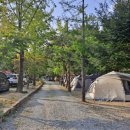 미산가족오토캠핑장 이미지