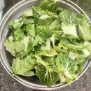 진도향기특산품 | [레시피]봄동비빔밥 황금레시피 봄동전 꿀팁 내돈내먹 꿀조합추천