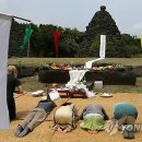 제주달로와 이미지