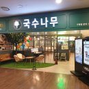 국수나무유성 이미지