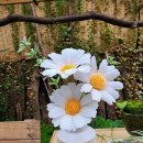 손끝에서 피어나는 페이퍼 플라워 | 🌼손끝에서 피어나는 봄 페이퍼플라워 데이지 만들기