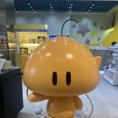 프랑소와펫 신세계대전점 이미지