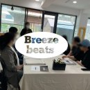 브리즈비츠 이미지