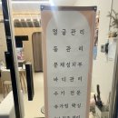 미미팰리스