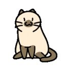 우샤우샤(금곡점) 이미지