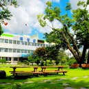 곡성-226 이미지