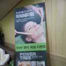 Spa리파인