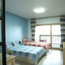 오션트리 이미지