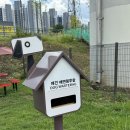 경안천 유방동 | [용인처인구] 경안천 반려견 놀이터 용인 무료 반려견 운동장